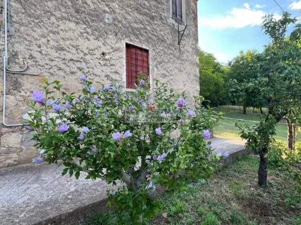 Casa Indipendente via Borgomale, Valdastico