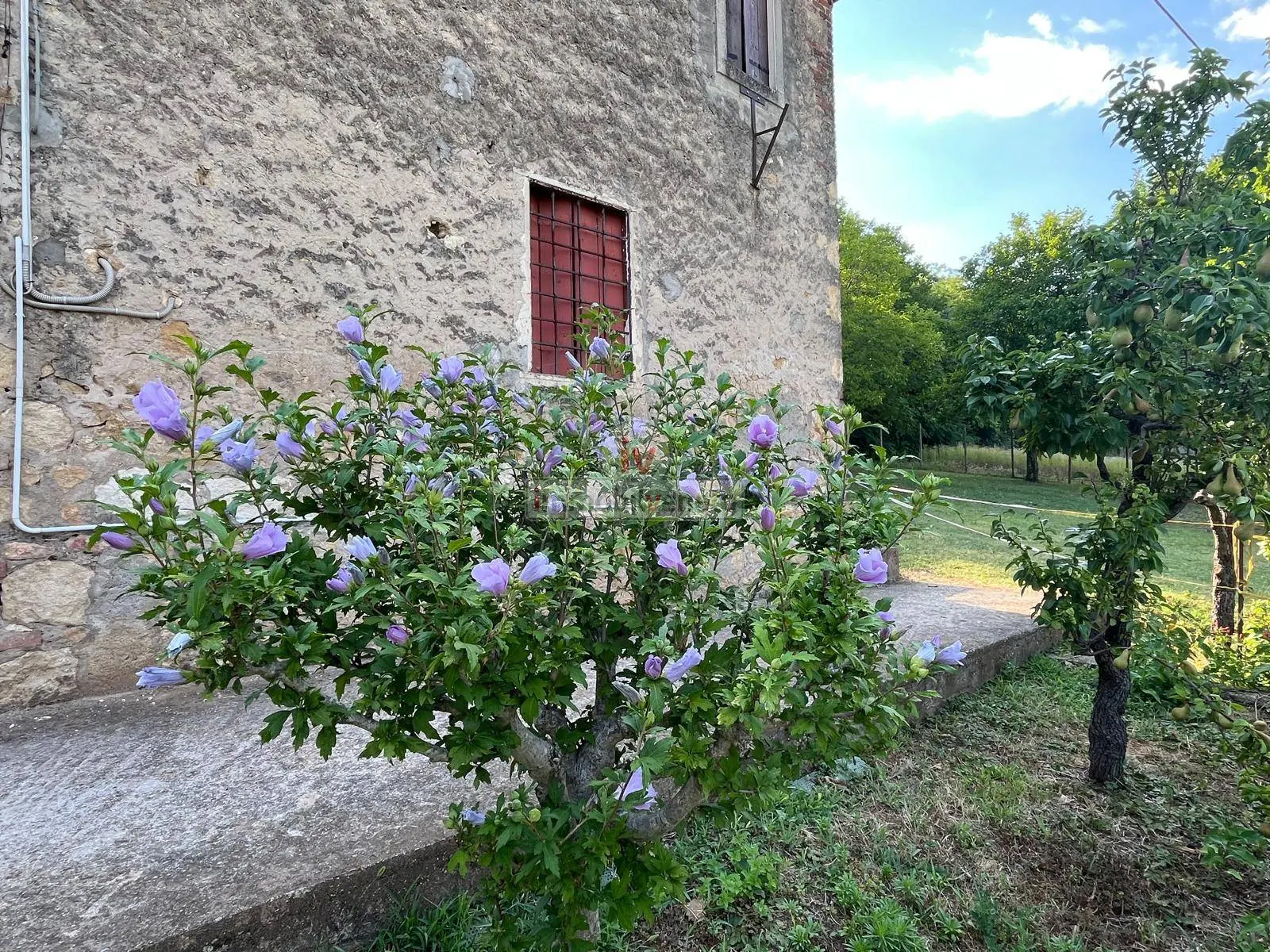 Immagine per Casa indipendente in vendita a Valdastico VIA BORGOMALE 