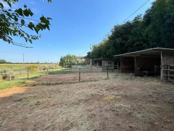 Immagine per Casa indipendente in vendita a Valdastico VIA BORGOMALE 