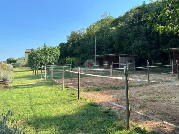 Immagine per Casa indipendente in vendita a Valdastico VIA BORGOMALE 