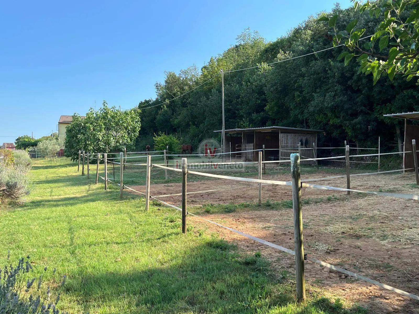 Immagine per Casa indipendente in vendita a Valdastico VIA BORGOMALE 