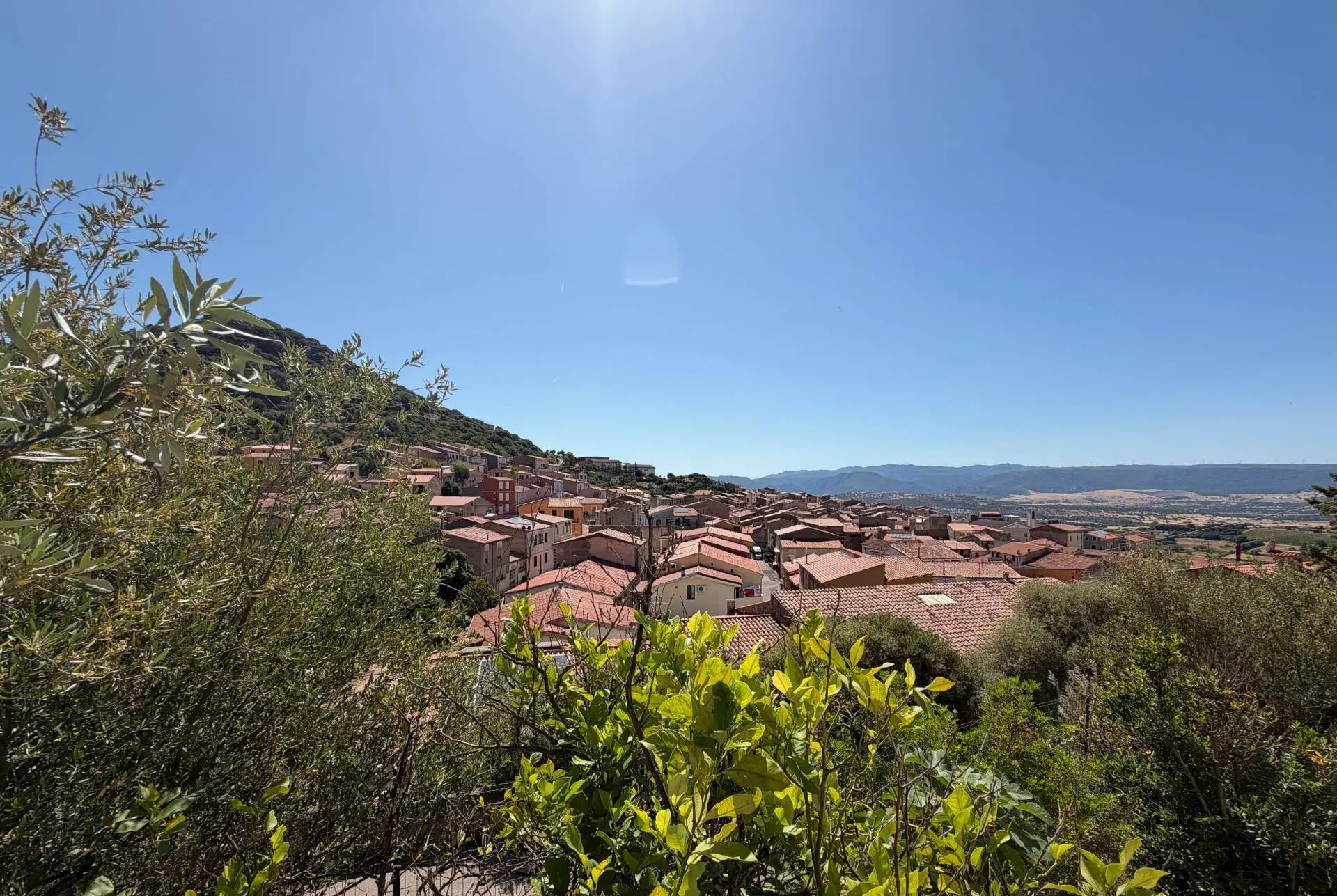 Immagine per Appartamento in vendita a Berchidda via San Sisto 17