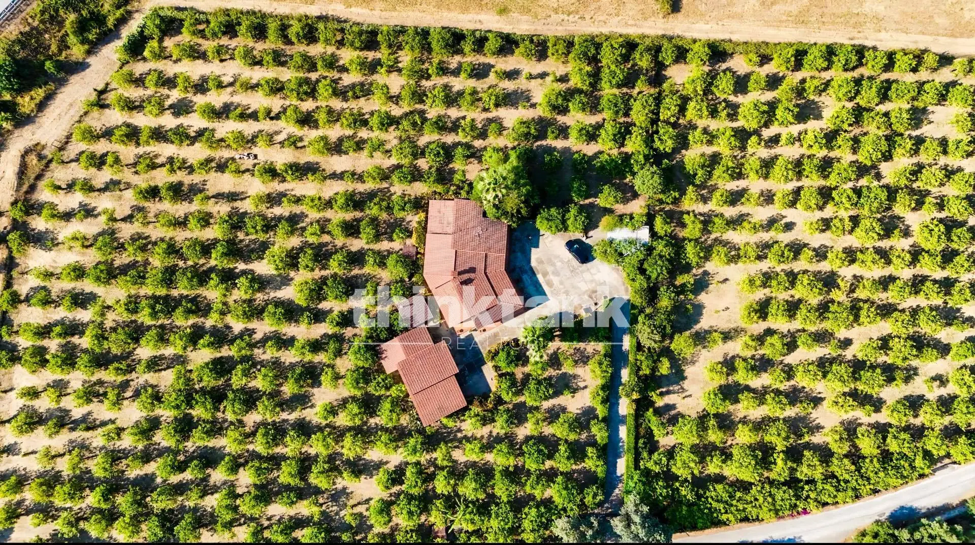 Immagine per Villa in vendita a Avola Via Bella Pettinata 