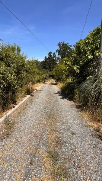 Rustico/Casale via Regione Secco 72, Canelli