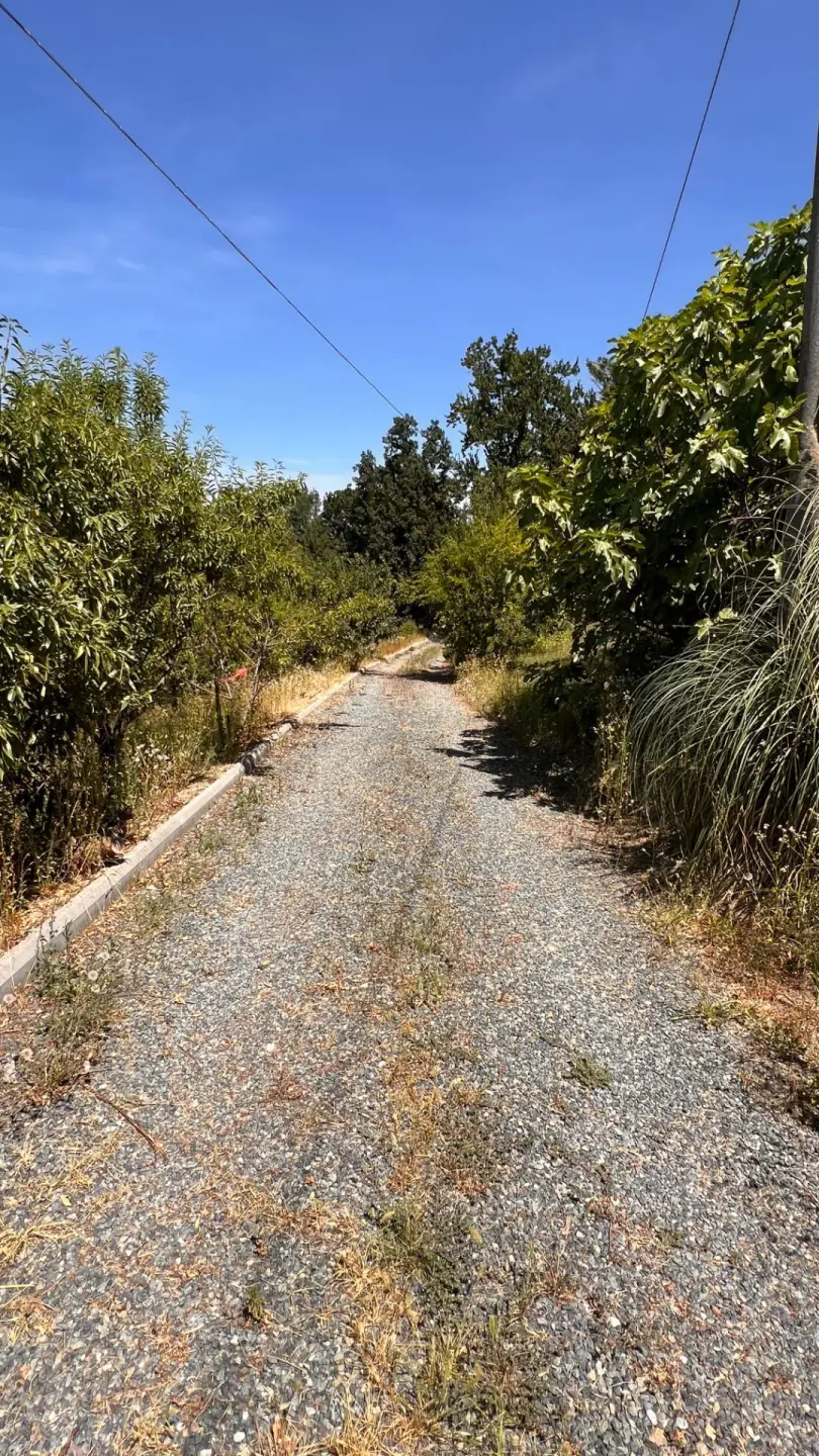 Immagine per Rustico/Casale in vendita a Canelli Regione Secco 72