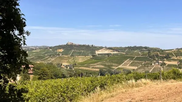Rustico/Casale via Regione Secco 72, Canelli