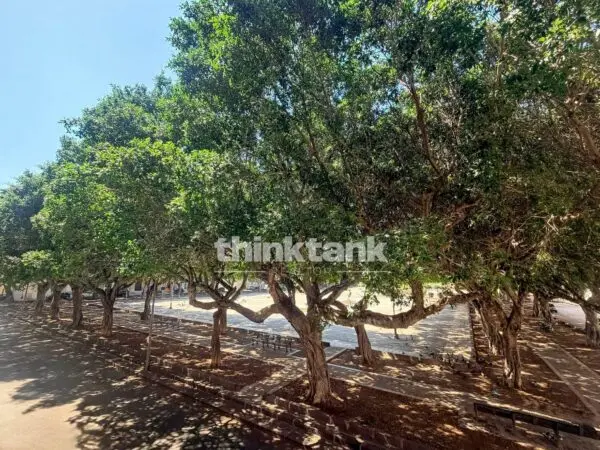Appartamento piazza Santa Lucia 52, Siracusa