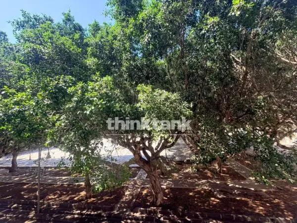 Appartamento piazza Santa Lucia 52, Siracusa
