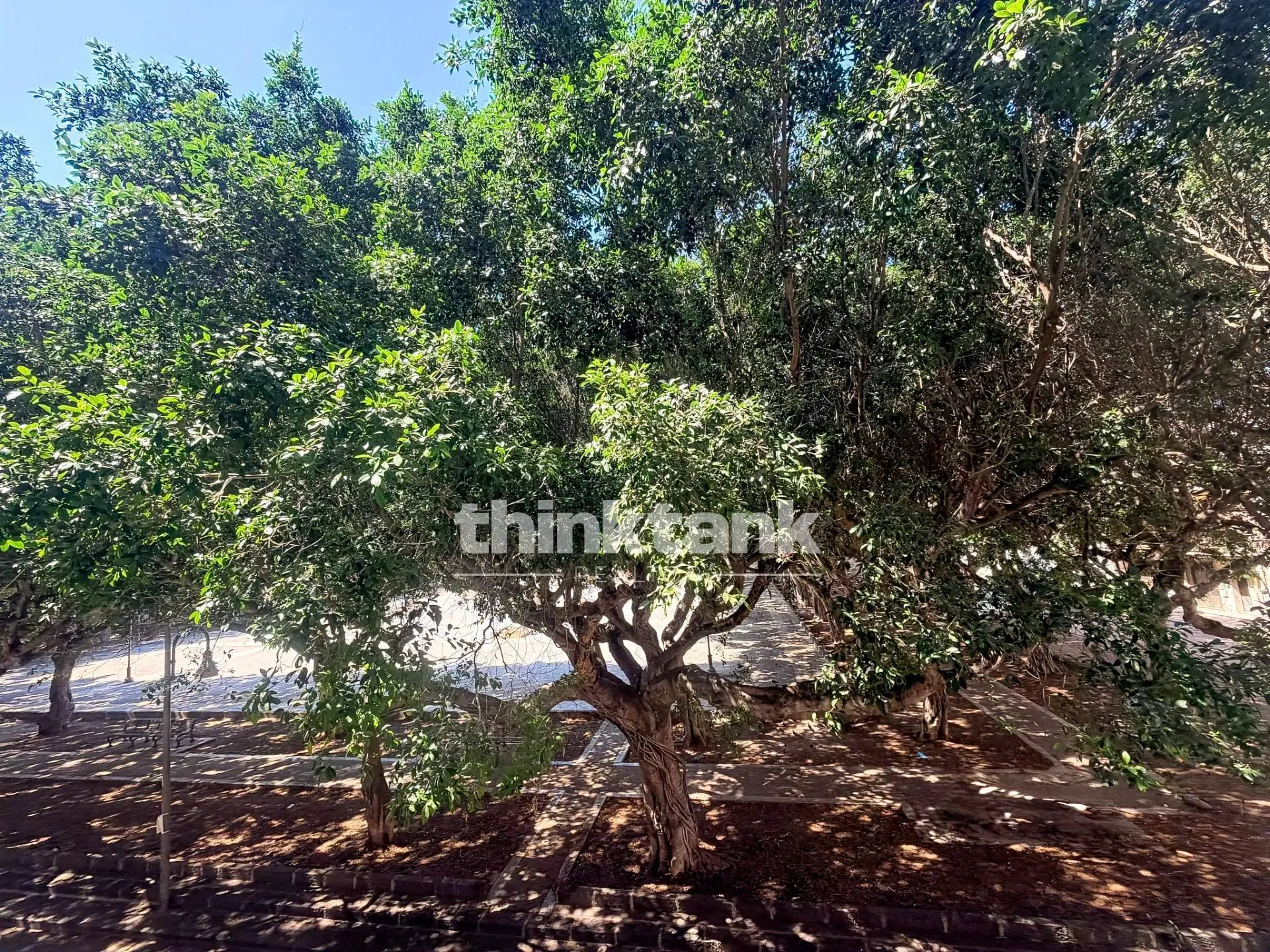 Immagine per Appartamento in vendita a Siracusa Piazza Santa Lucia 52
