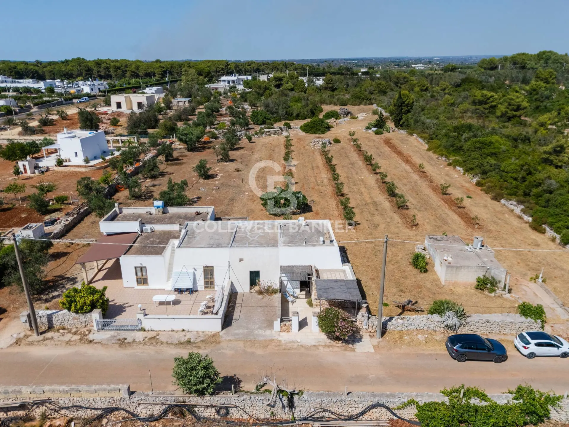 Immagine per Villa in affitto a Seclì Contrada Specolizzi 