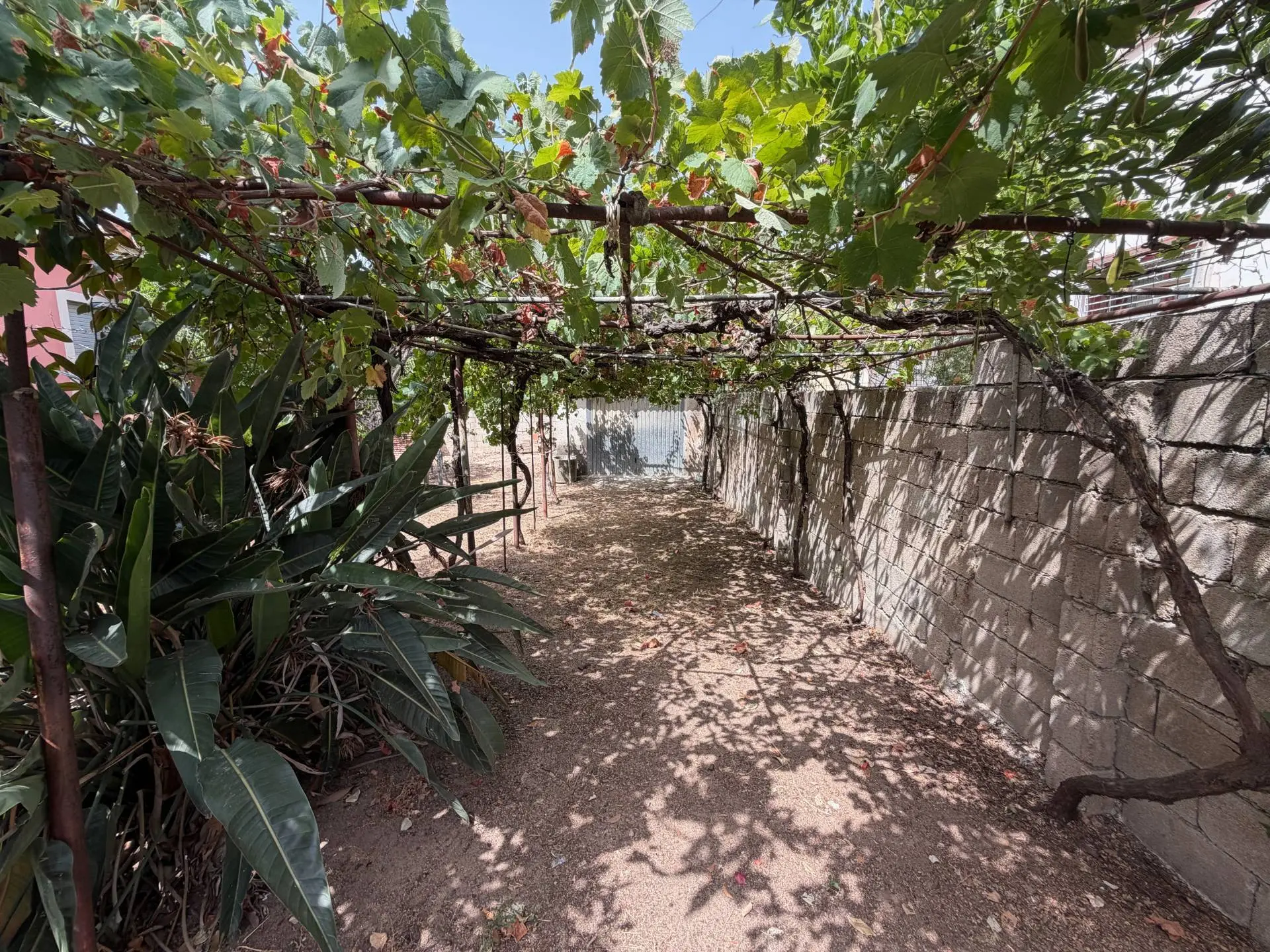 Immagine per Casa indipendente in vendita a Olbia VIA CARLO GOLDONI 22/24
