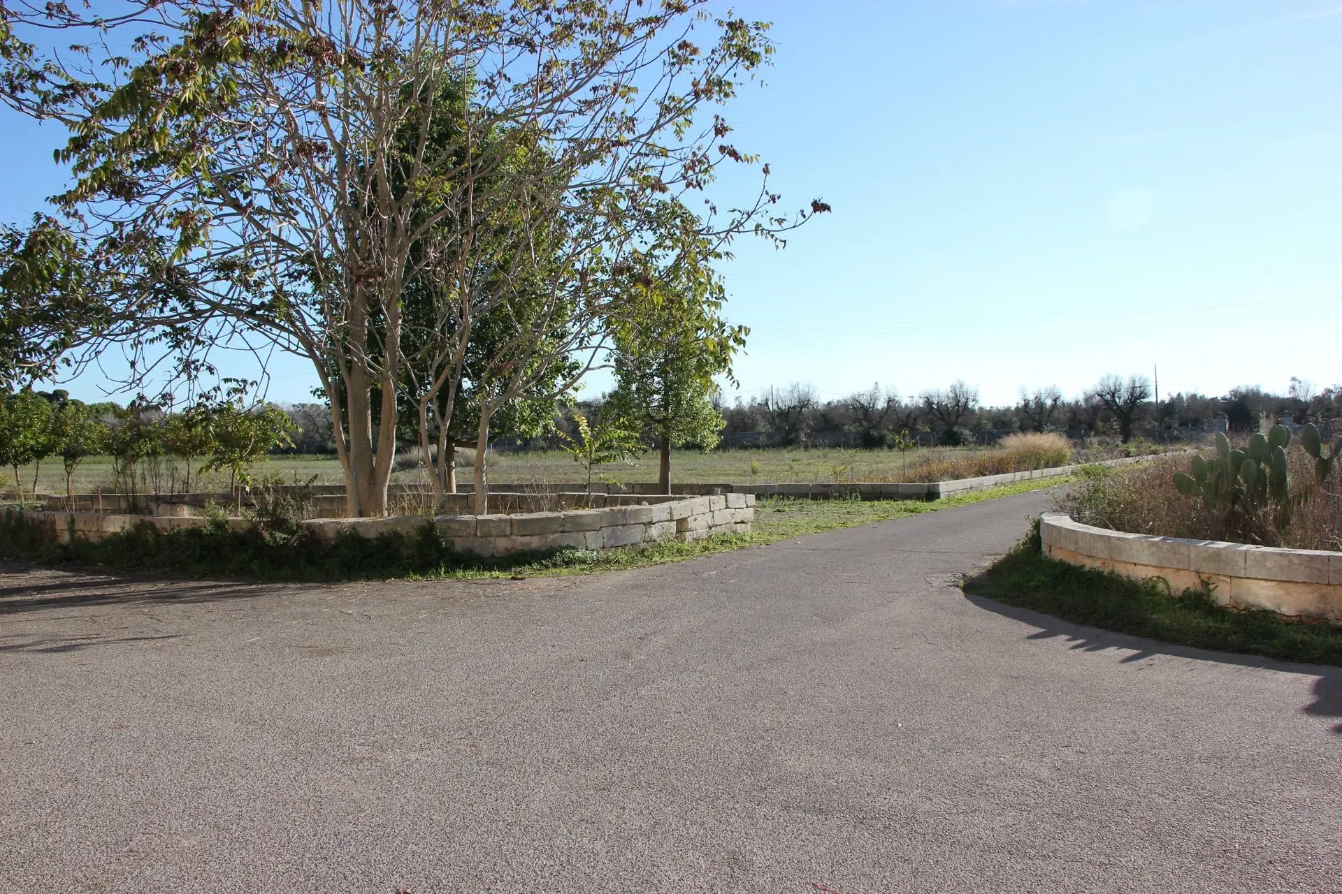 Immagine per Capannone Industriale in vendita a Lecce via Enzo Ferrari 