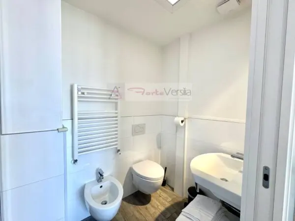 Immagine per Appartamento in vendita a Pietrasanta  