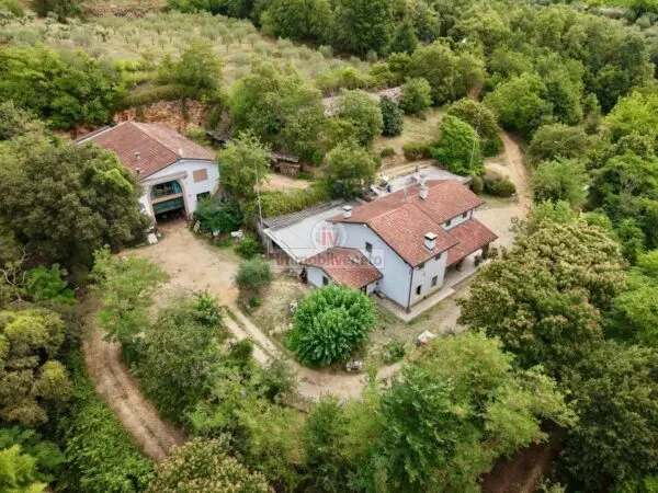 Casa Indipendente via Molini, Lonigo