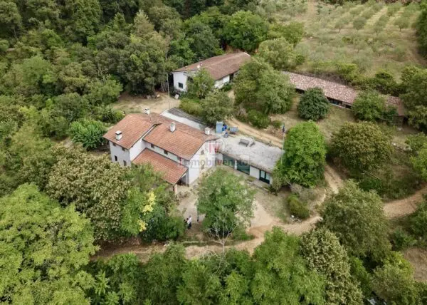 Casa Indipendente via Molini, Lonigo