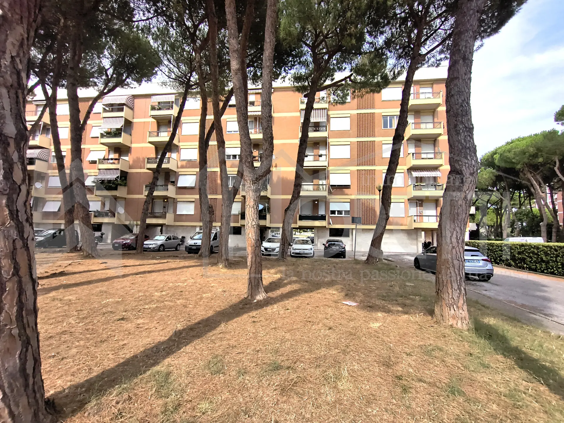 Immagine per Appartamento in vendita a Livorno via Tommaseo