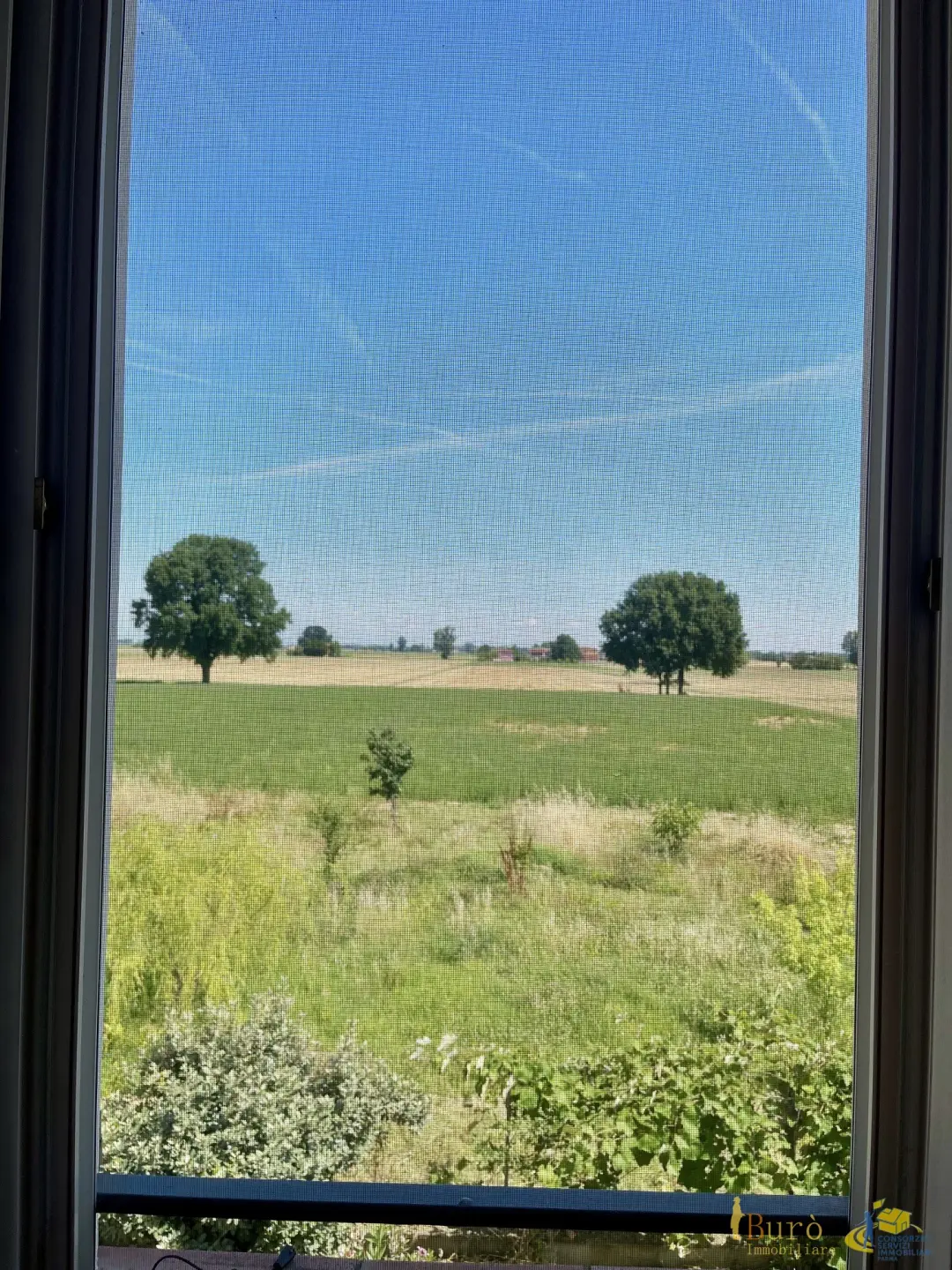 Immagine per Villa in vendita a Parma strada Dani Maestà