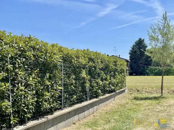 Immagine per Villa in vendita a Parma strada Dani Maestà