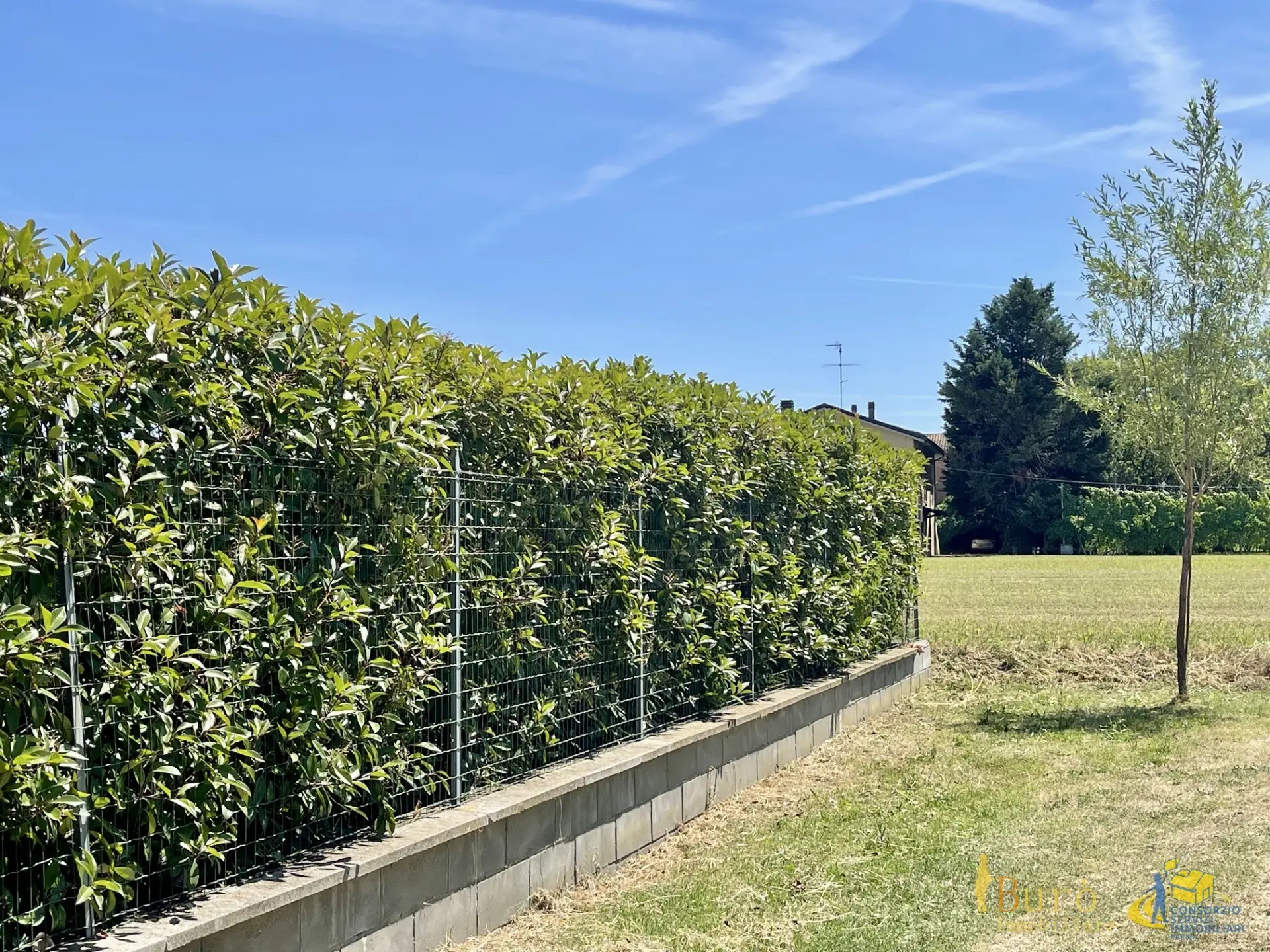 Immagine per Villa in vendita a Parma strada Dani Maestà