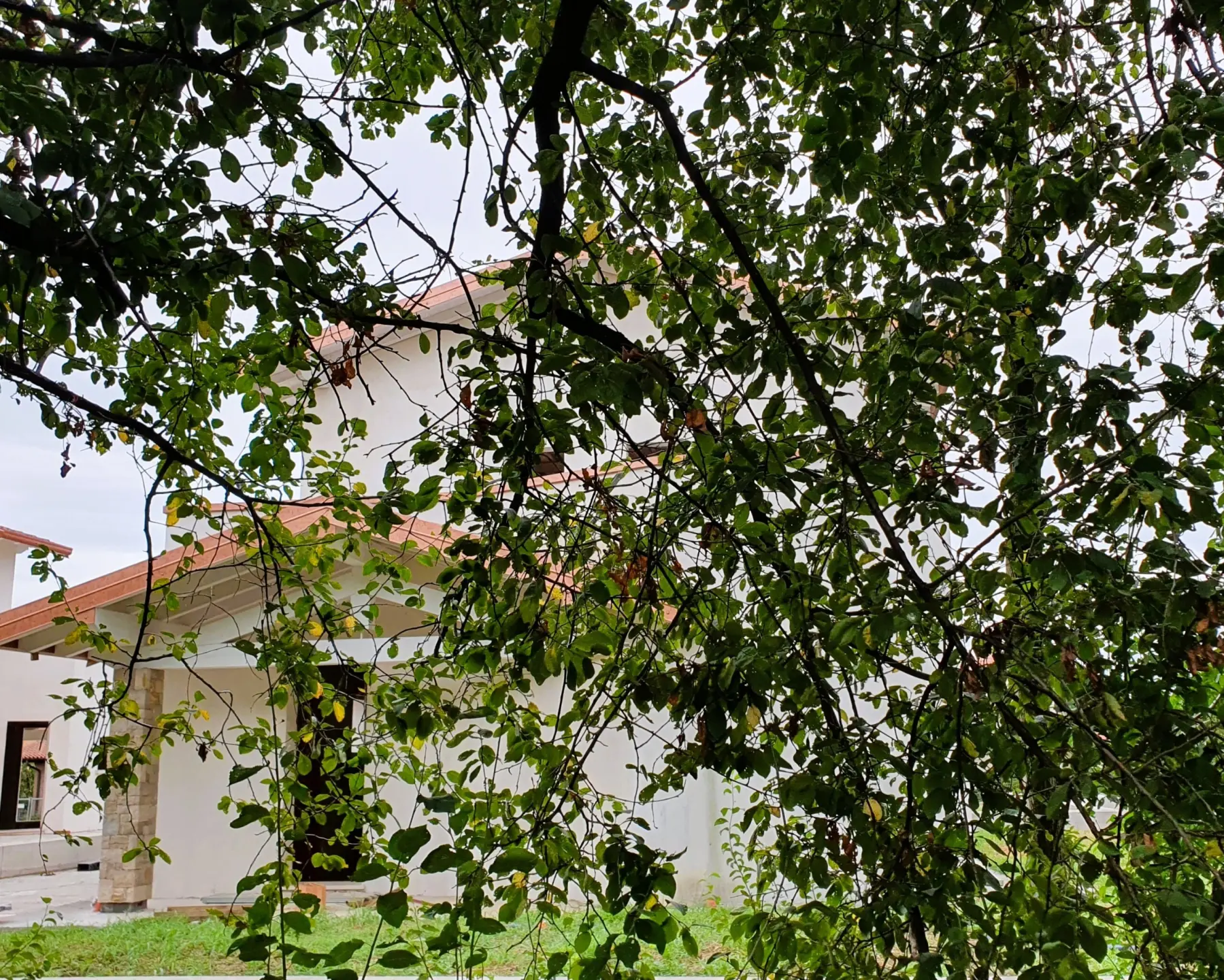 Immagine per Quadrilocale in vendita a Poncarale via Monte Netto