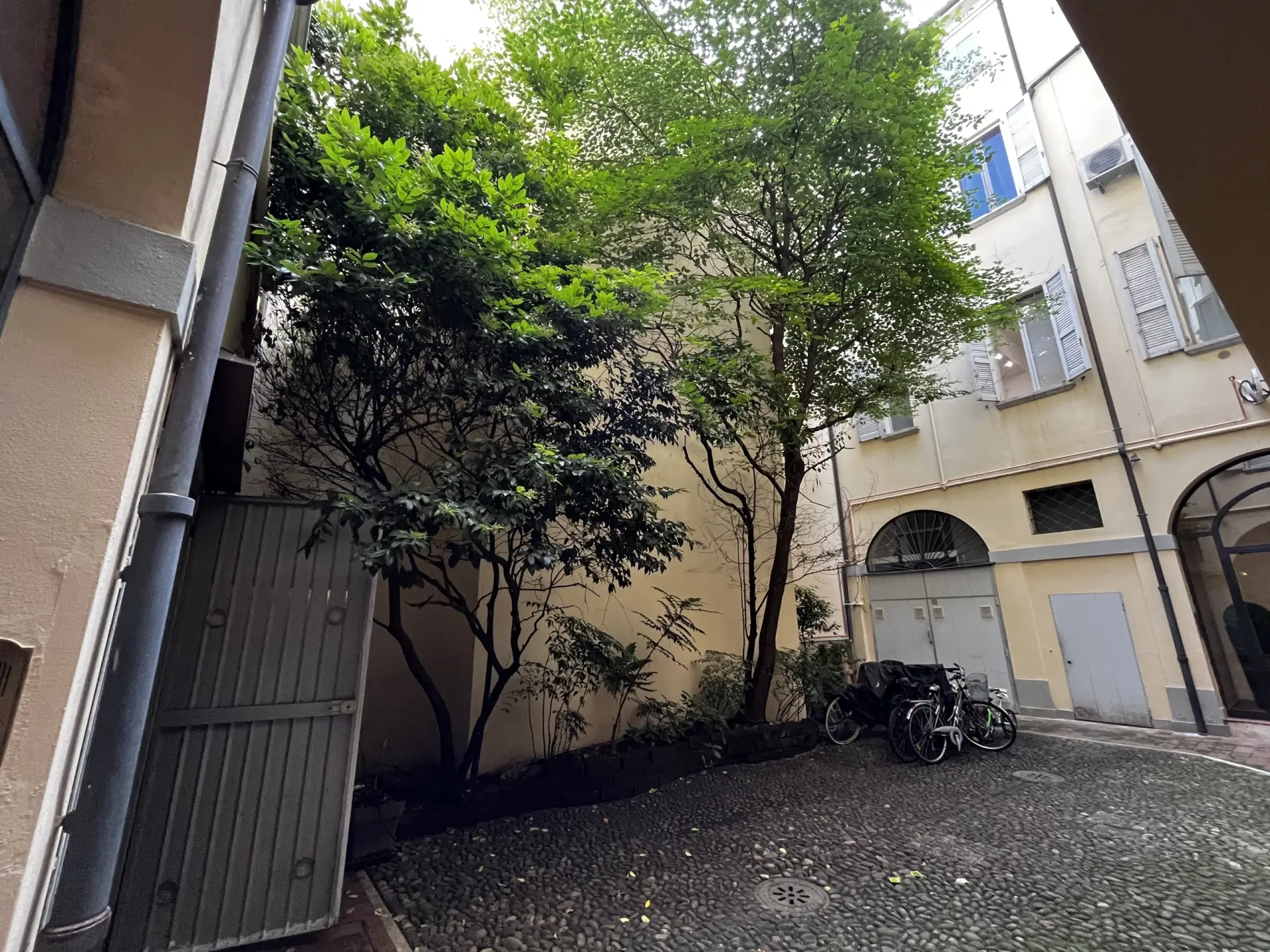 Immagine per Quadrilocale in affitto a Modena via San Cristoforo 28