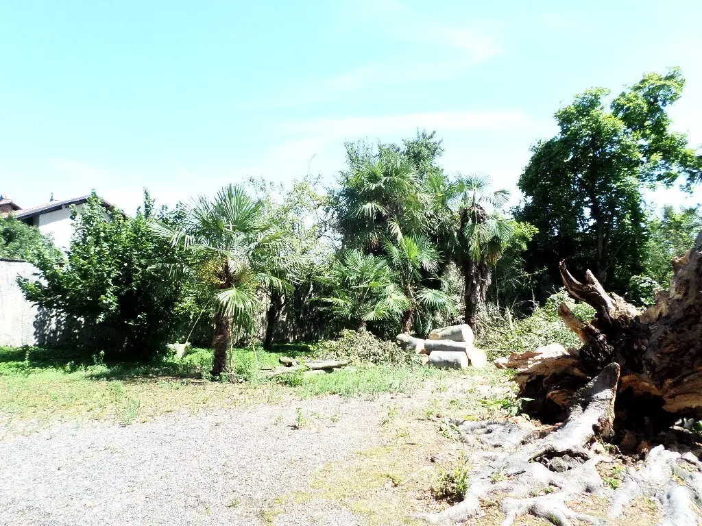 Immagine per Casale in vendita a Levone via Roma 1