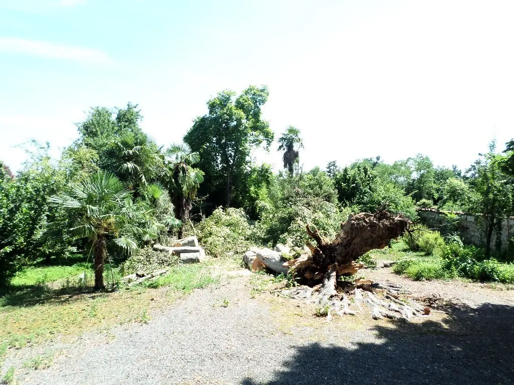 Immagine per Casale in vendita a Levone via Roma 1