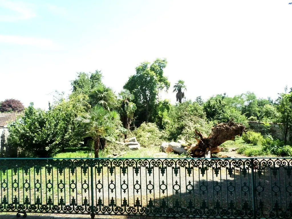 Immagine per Casale in vendita a Levone via Roma 1