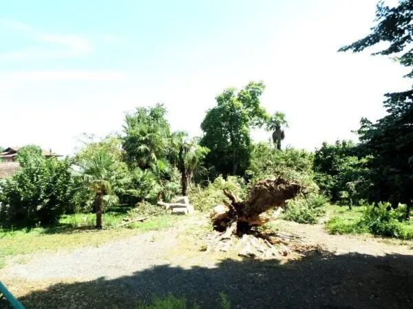 Immagine per Casale in vendita a Levone via Roma 1