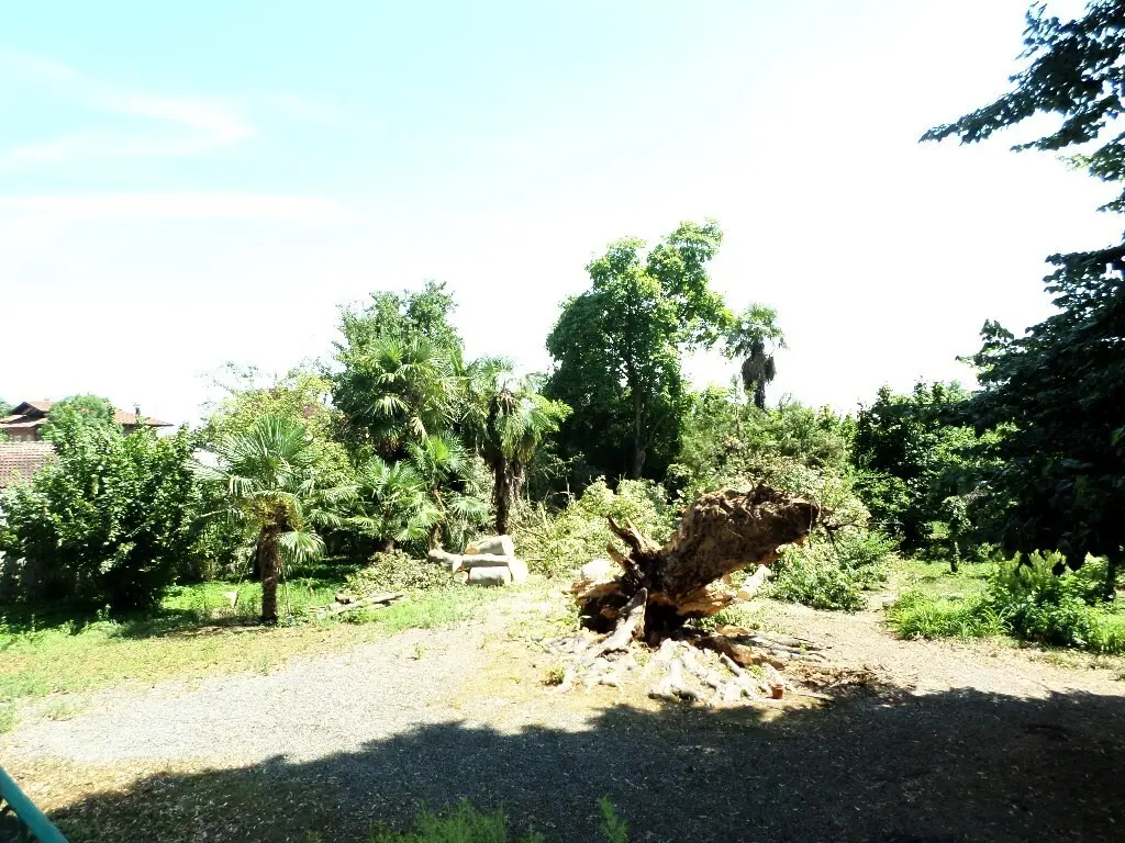 Immagine per Casale in vendita a Levone via Roma 1