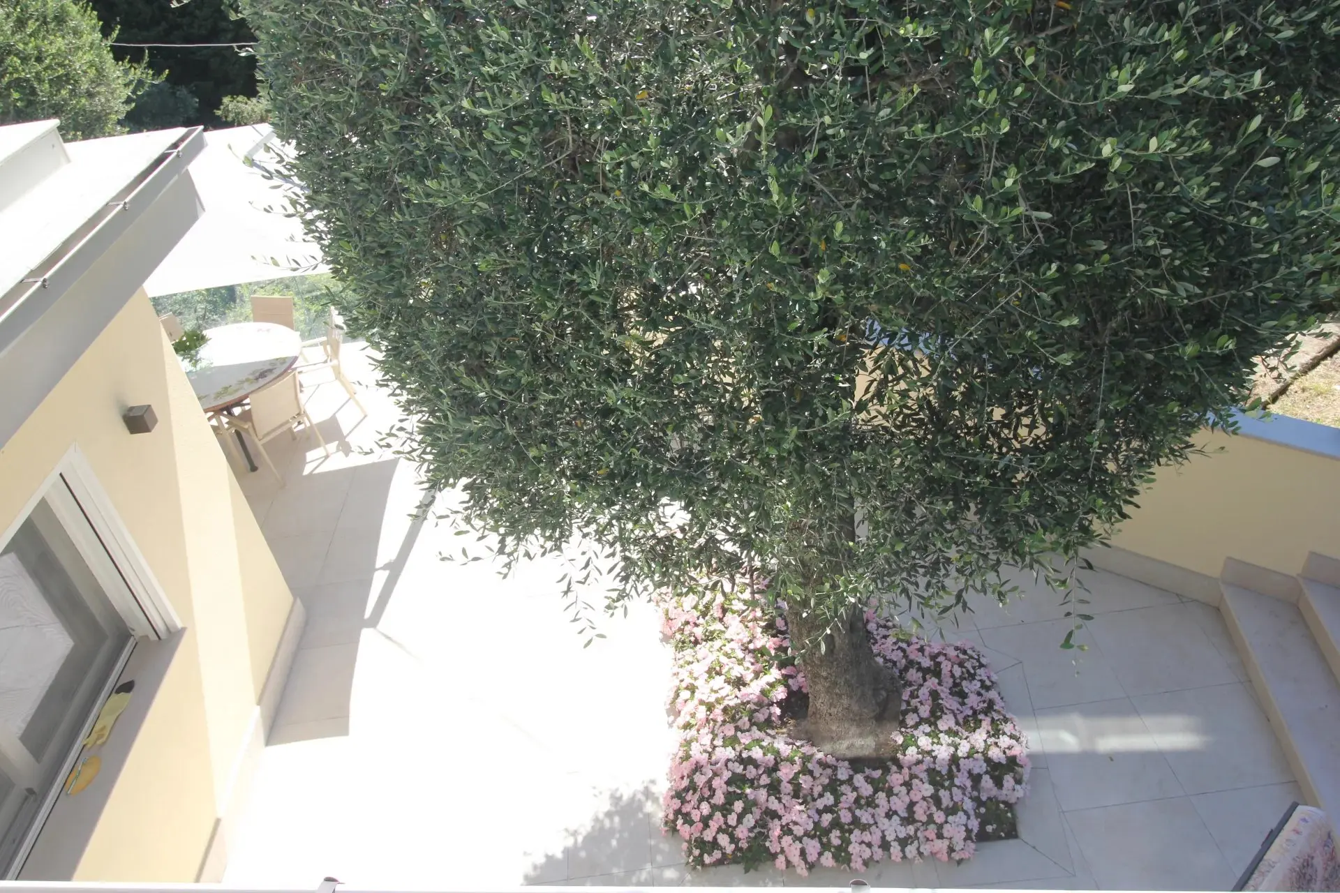 Immagine per Villa in vendita a Diano Marina via San Leonardo