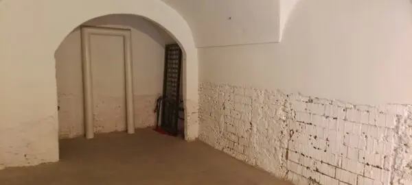 Immagine per Garage in vendita a Modena via Dei Balugola 14