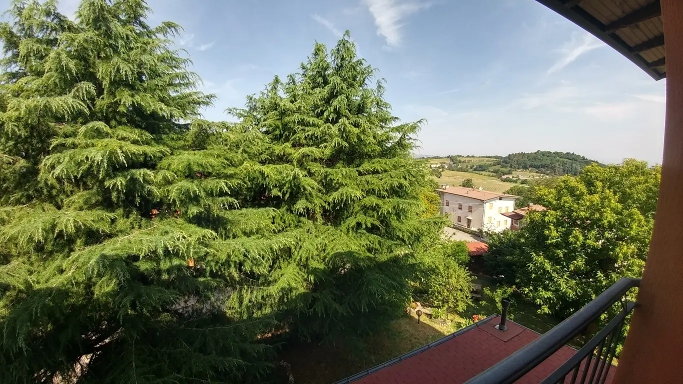 Immagine per Quadrilocale in vendita a Zocca via Bosco Degli Estensi 654