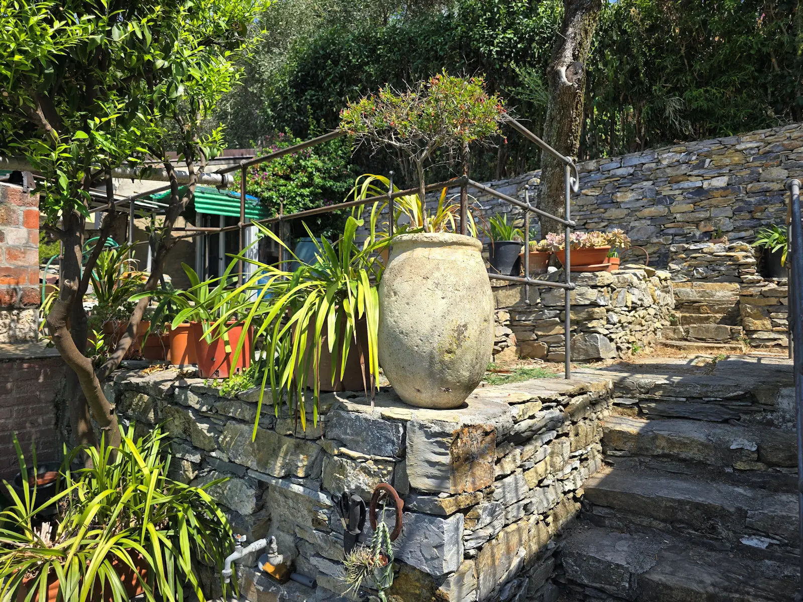 Immagine per Terratetto in affitto a Zoagli via Dei Velluti 5