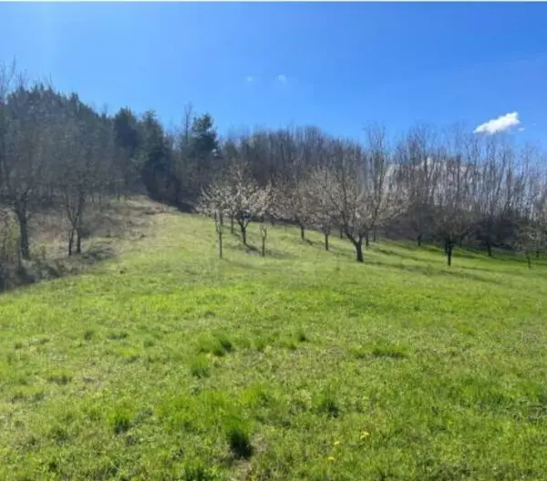 Agriturismo via Regione Piampodazza 5, Montechiaro D'Acqui