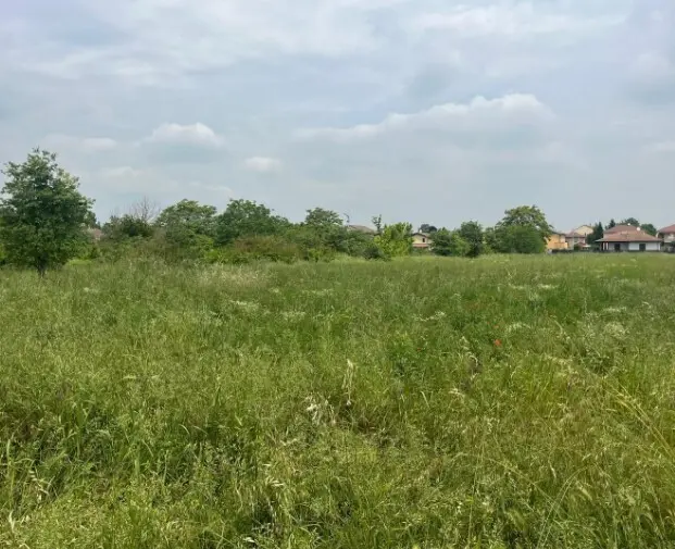 Immagine per Industriale in asta a Alessandria via Frugarolo 94