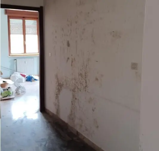 Appartamento via Vittorio Veneto 15, Strevi