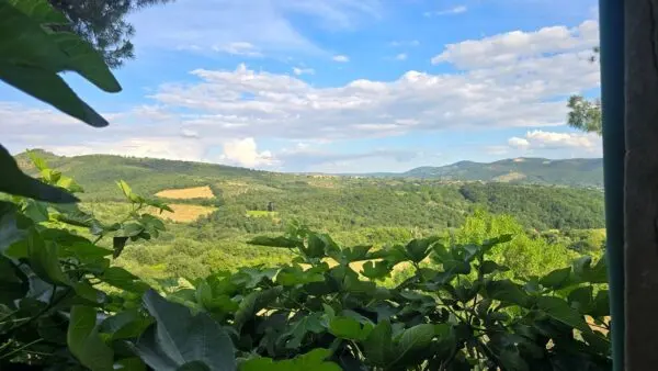 Immagine per Casale in vendita a Panicale via Del Boschetto 1