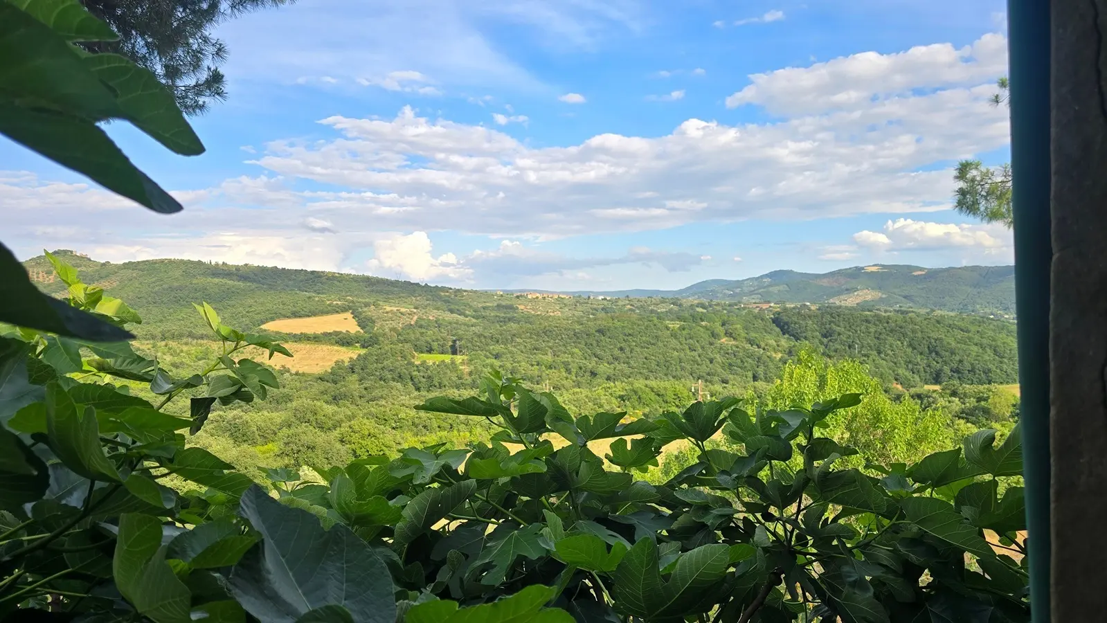 Immagine per Casale in vendita a Panicale via Del Boschetto 1