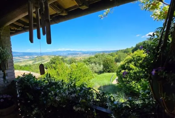 Casale via Podere Fibbiano 4, Castel Viscardo