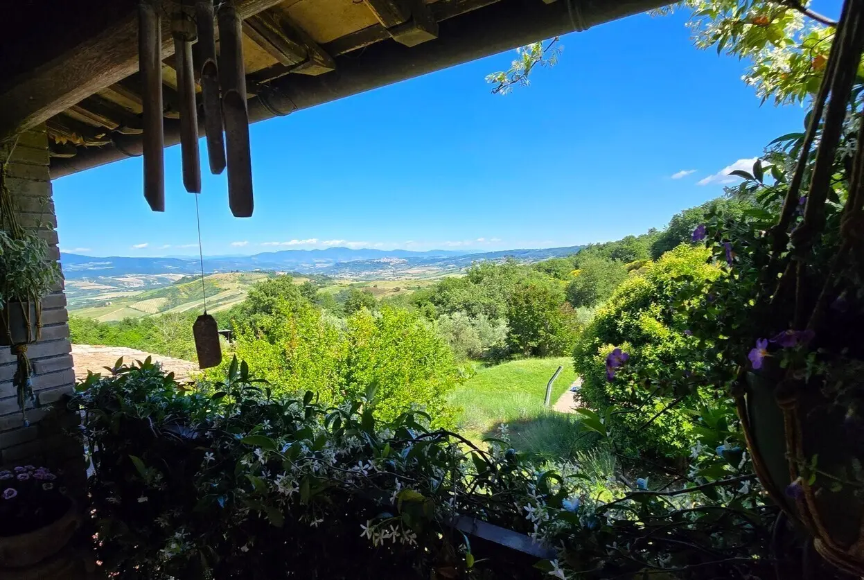 Immagine per Casale in vendita a Castel Viscardo via Podere Fibbiano 4