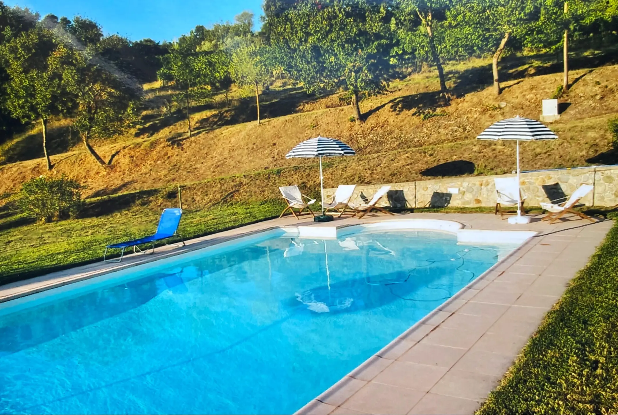Immagine per Casale in vendita a Castel Viscardo via Podere Fibbiano 4