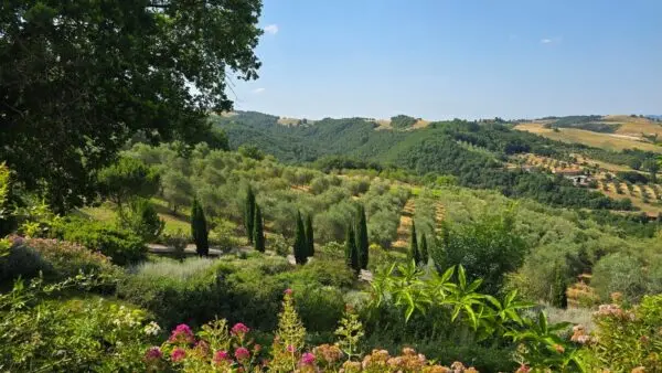 Casale Allerona