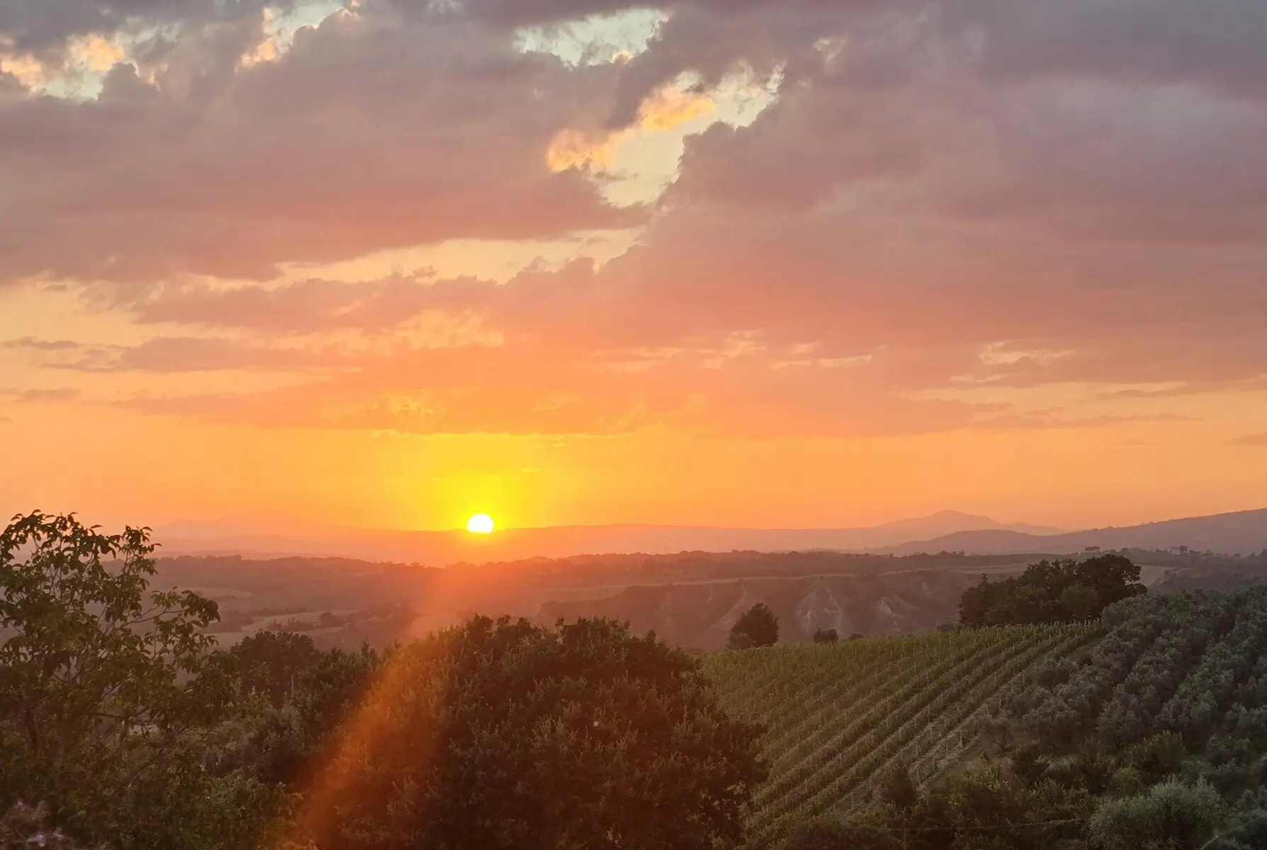 Immagine per Villa bifamiliare in vendita a Montecchio via Delle Primule 26