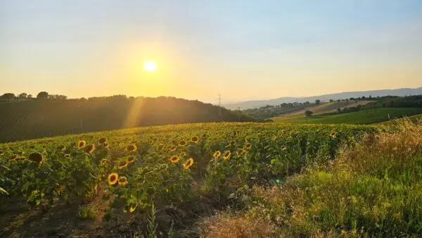 Casale strada Provinciale 92, Baschi