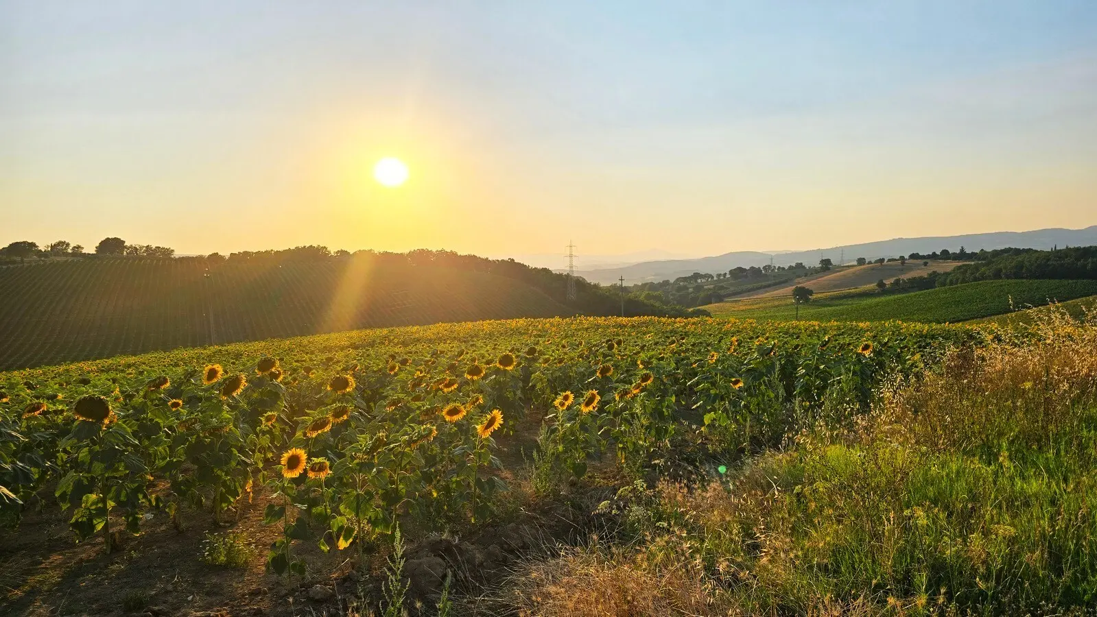 Immagine per Casale in vendita a Baschi strada Provinciale 92
