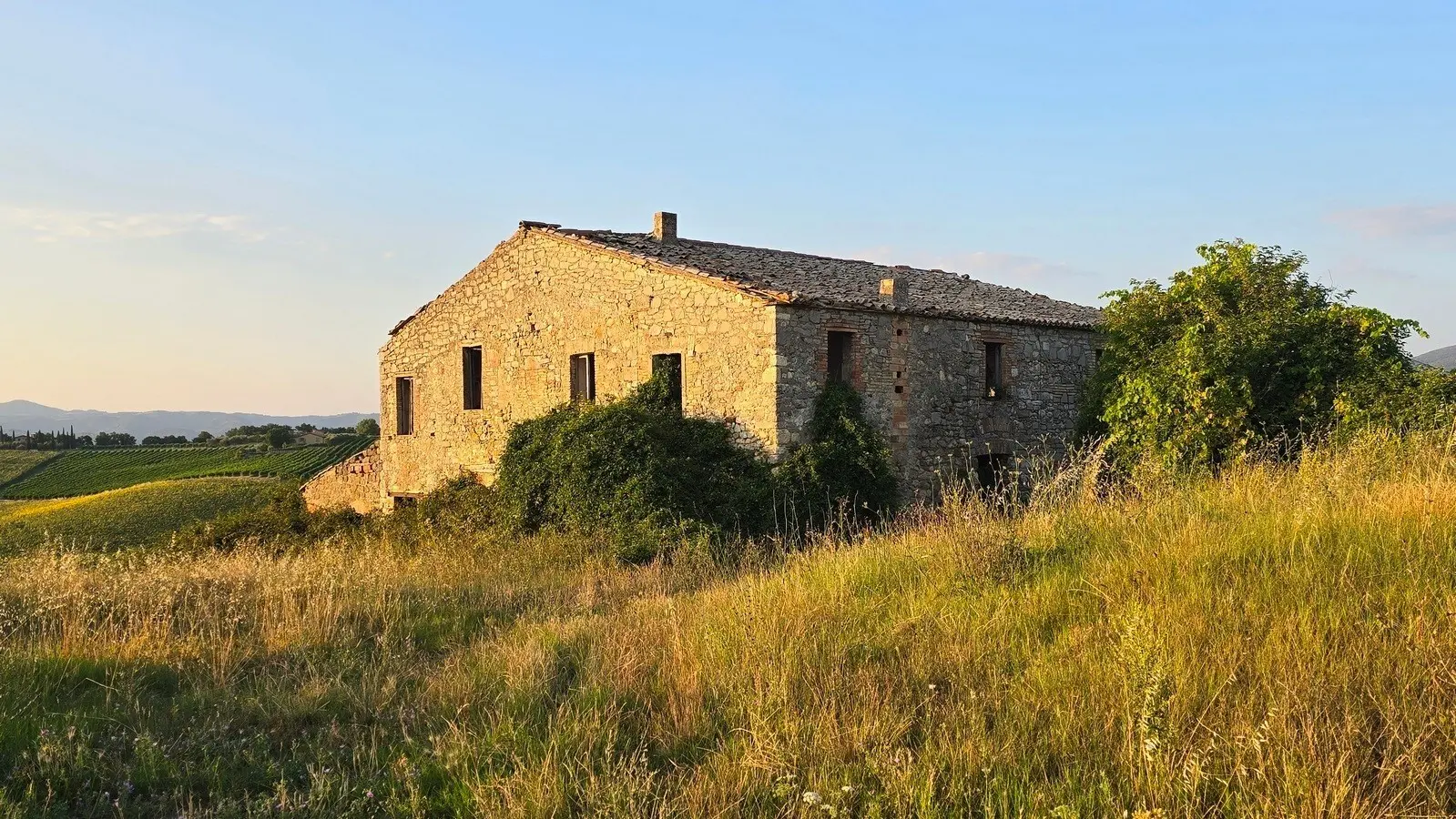 Immagine per Casale in vendita a Baschi strada Provinciale 92