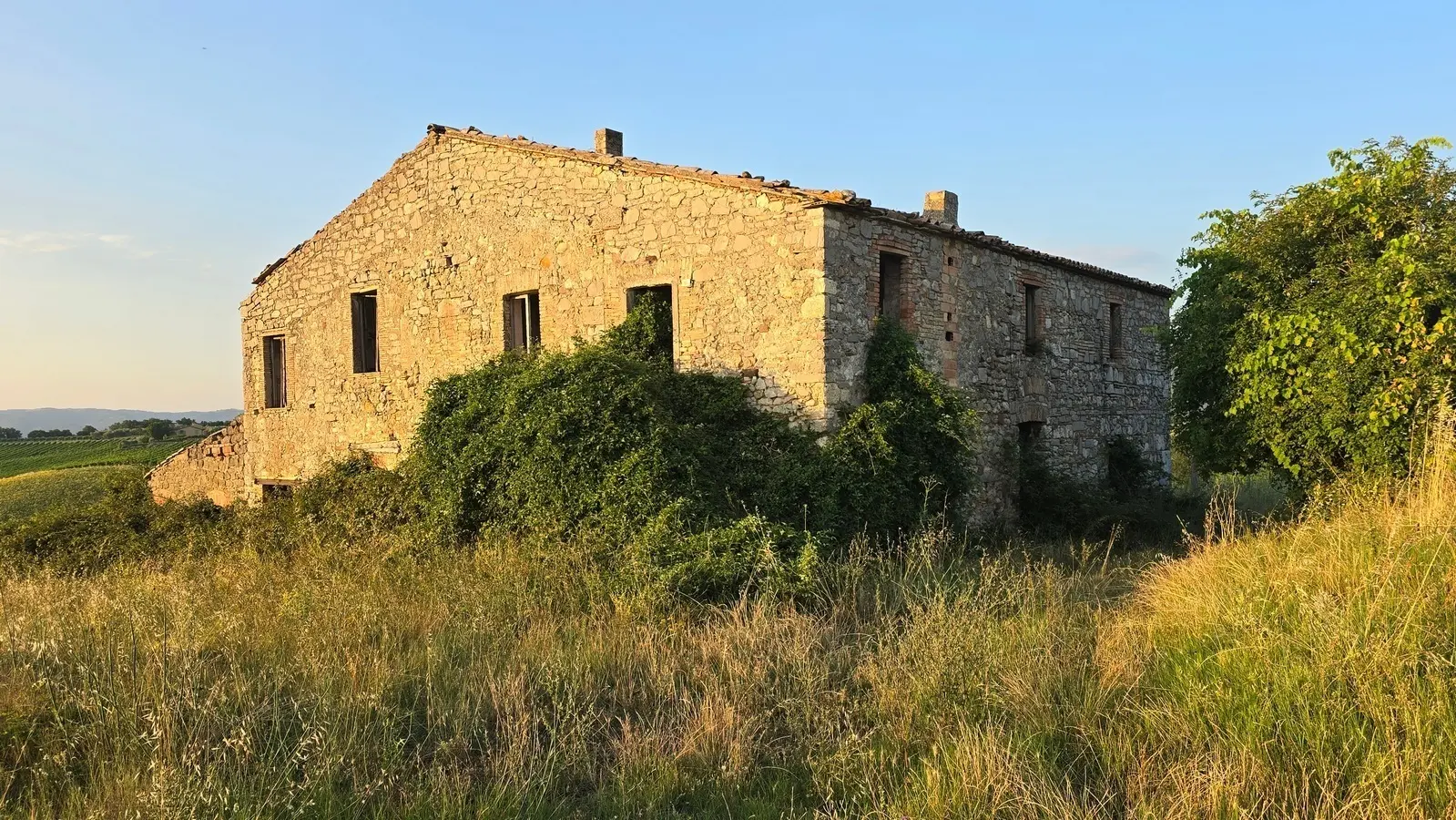 Immagine per Casale in vendita a Baschi strada Provinciale 92
