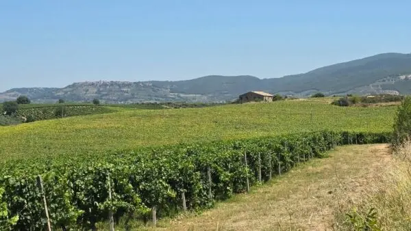 Casale strada Provinciale 92, Baschi
