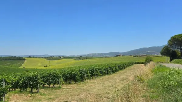 Casale strada Provinciale 92, Baschi
